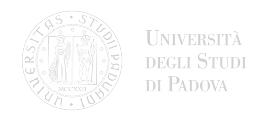logo Università degli Studi di Padova